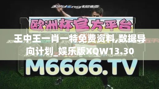 王中王一肖一特免費(fèi)資料,數(shù)據(jù)導(dǎo)向計(jì)劃_娛樂(lè)版XQW13.30