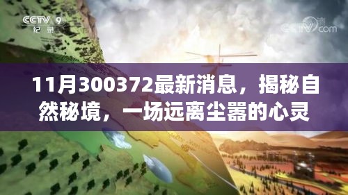 揭秘自然秘境，啟程一場(chǎng)遠(yuǎn)離塵囂的心靈之旅的最新消息