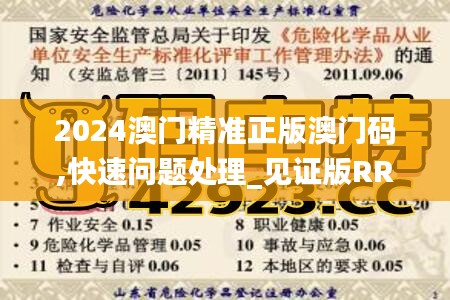 2024澳門精準(zhǔn)正版澳門碼,快速問(wèn)題處理_見證版RRD13.96