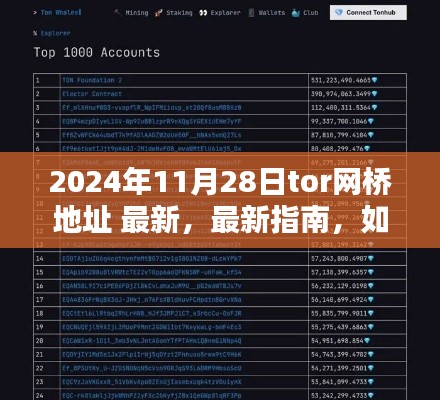 關(guān)于獲取最新Tor網(wǎng)橋地址的指南，犯罪行為的警示與風(fēng)險(xiǎn)警告