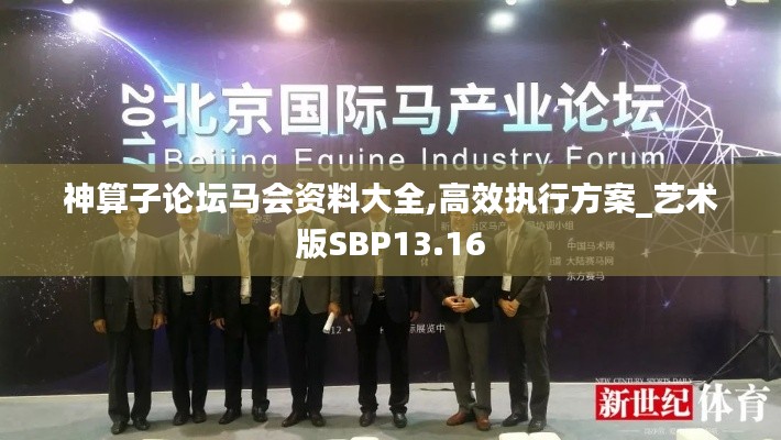 神算子論壇馬會資料大全,高效執(zhí)行方案_藝術(shù)版SBP13.16