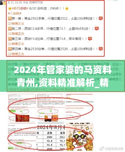 2024年管家婆的馬資料青州,資料精準(zhǔn)解析_精密版JAI13.64