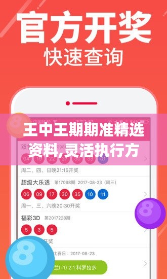 王中王期期準精選資料,靈活執(zhí)行方案_活力版OJL13.15