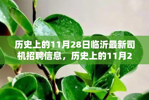 歷史上的11月28日臨沂最新司機(jī)招聘信息及其深度解析