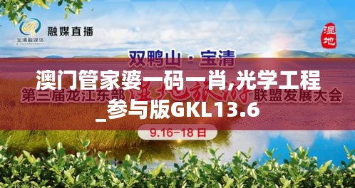 澳門管家婆一碼一肖,光學工程_參與版GKL13.6