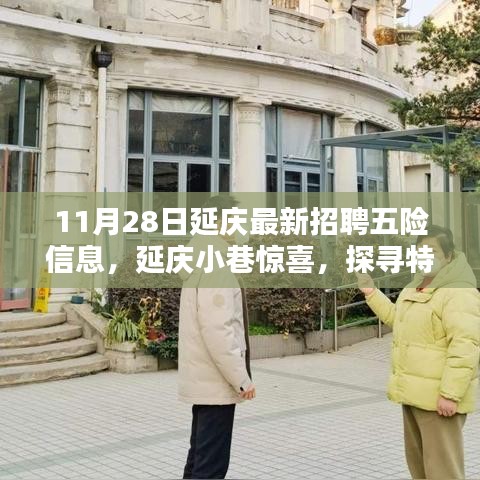 11月28日延慶最新招聘信息與特色小店探尋，五險(xiǎn)信息大解密