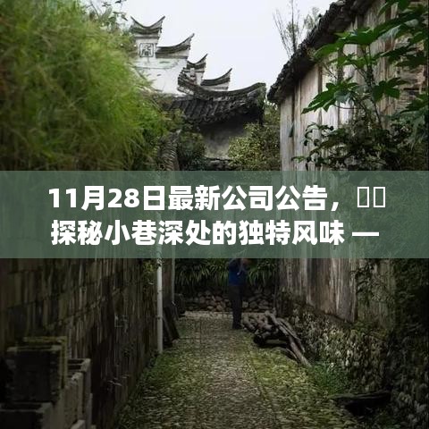 探秘小巷深處的獨(dú)特風(fēng)味，公司最新公告帶你走進(jìn)隱藏的美食寶藏店揭秘時刻