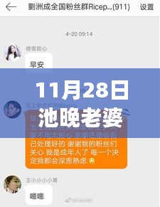 11月28日池晚與老婆復(fù)婚話題熱門章節(jié)解讀及情感案例分析