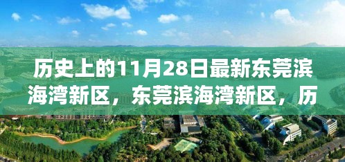 東莞濱海灣新區(qū)，歷史與未來(lái)的交匯點(diǎn)，探尋小巷獨(dú)特風(fēng)味當(dāng)日記實(shí)