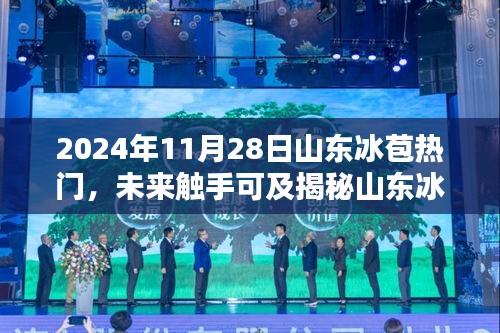 揭秘山東冰苞熱門(mén)高科技產(chǎn)品，科技之光照亮生活新篇章（2024年展望）