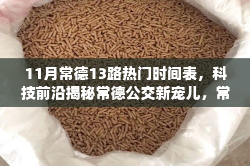 常德公交新寵兒揭秘，智能出行時(shí)代下的常德公交13路時(shí)刻表與智慧出行體驗(yàn)