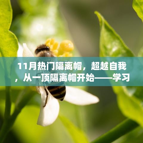 超越自我，從隔離帽開始的學(xué)習(xí)之旅，自信與成就感的蛻變之路