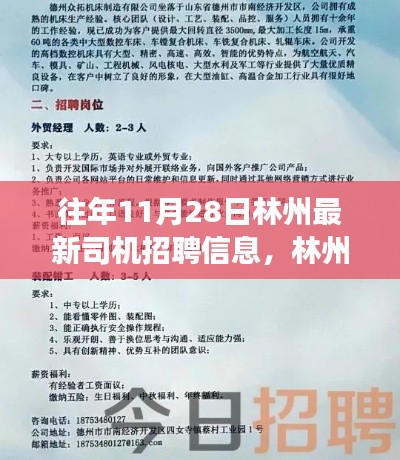 林州最新司機招聘動態(tài)，行業(yè)趨勢深度解讀與多方觀點匯集