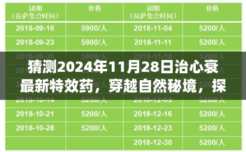 探尋未來奇跡，穿越自然秘境，揭秘心衰特效藥的心靈之旅（預(yù)計于2024年11月揭曉）