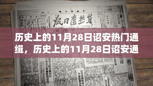 東張西望 第5頁