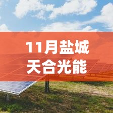 鹽城天合光能熱門(mén)招聘應(yīng)聘全攻略，從入門(mén)到成功應(yīng)聘的每一步解析