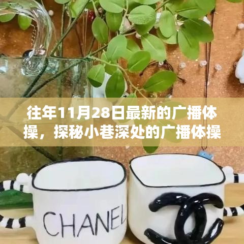 探秘小巷深處的廣播體操寶藏小店，最新廣播體操一覽