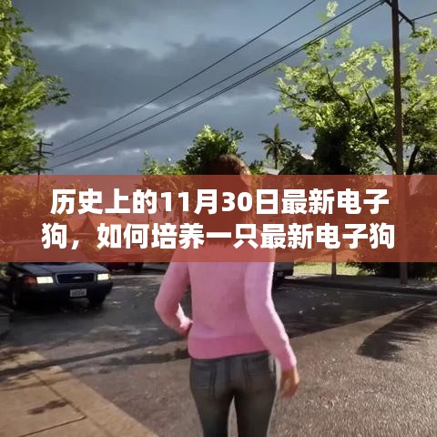 歷史上的11月30日，最新電子狗的培養(yǎng)指南與詳細(xì)指南解析
