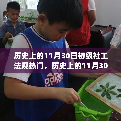 歷史上的11月30日，初級(jí)社工法規(guī)的熱門演變及其深遠(yuǎn)影響