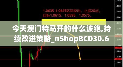 今天澳門特馬開的什么波絕,持續(xù)改進(jìn)策略_nShopBCD30.691