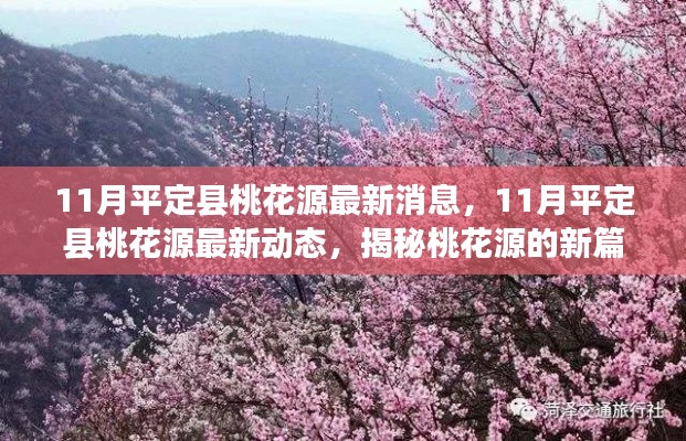 揭秘，11月平定縣桃花源最新動態(tài)與進展新篇章