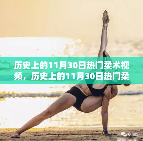 歷史上的柔術(shù)視頻回顧，熱門柔術(shù)視頻深度評測與介紹（11月30日篇）