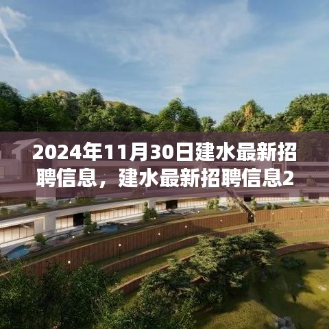 建水最新招聘信息概覽，2024年11月30日更新
