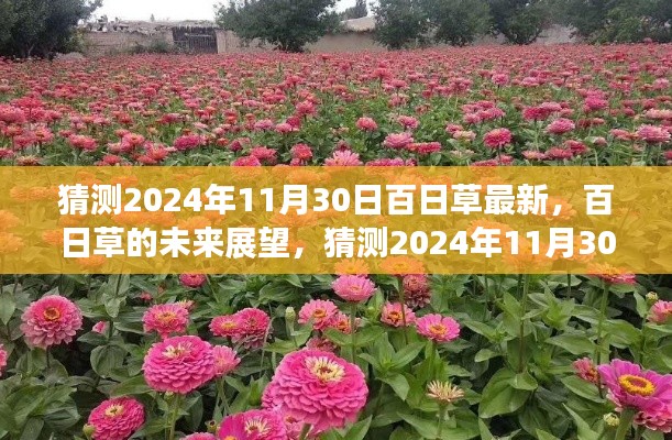 百日草的未來(lái)展望，揭秘2024年百日草最新動(dòng)態(tài)與未來(lái)趨勢(shì)分析