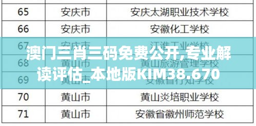 澳門(mén)三肖三碼免費(fèi)公開(kāi),專(zhuān)業(yè)解讀評(píng)估_本地版KIM38.670
