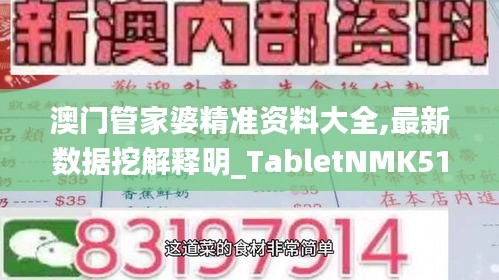 澳門管家婆精準(zhǔn)資料大全,最新數(shù)據(jù)挖解釋明_TabletNMK51.991