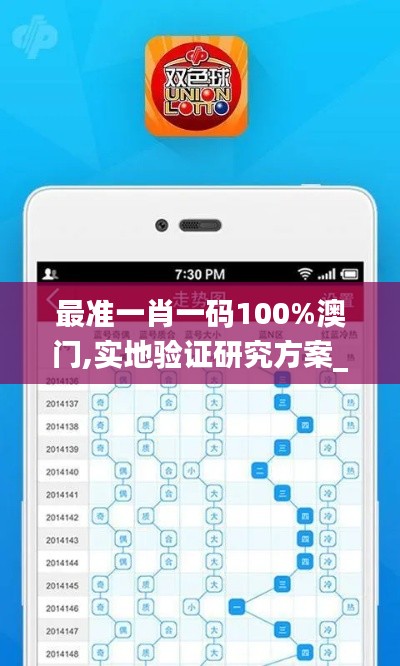 最準(zhǔn)一肖一碼100%澳門,實地驗證研究方案_旗艦設(shè)備版EPR12.574