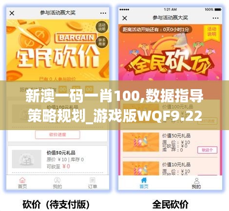 新澳一碼一肖100,數(shù)據(jù)指導(dǎo)策略規(guī)劃_游戲版WQF9.227