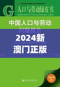 2024新澳門(mén)正版全年免費(fèi)資料,實(shí)地驗(yàn)證研究方案_高效版KDU99.891