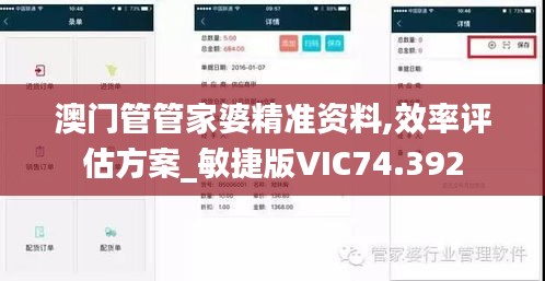 澳門管管家婆精準資料,效率評估方案_敏捷版VIC74.392