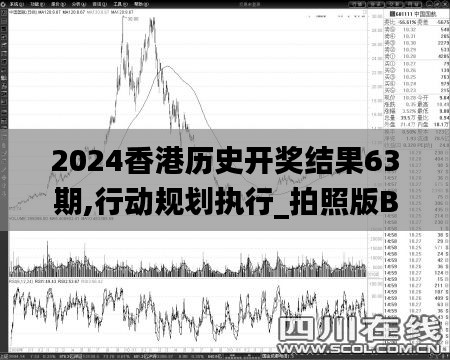 2024香港歷史開獎結(jié)果63期,行動規(guī)劃執(zhí)行_拍照版BFB28.658
