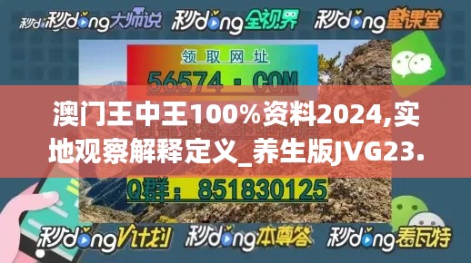 澳門王中王100%資料2024,實(shí)地觀察解釋定義_養(yǎng)生版JVG23.246