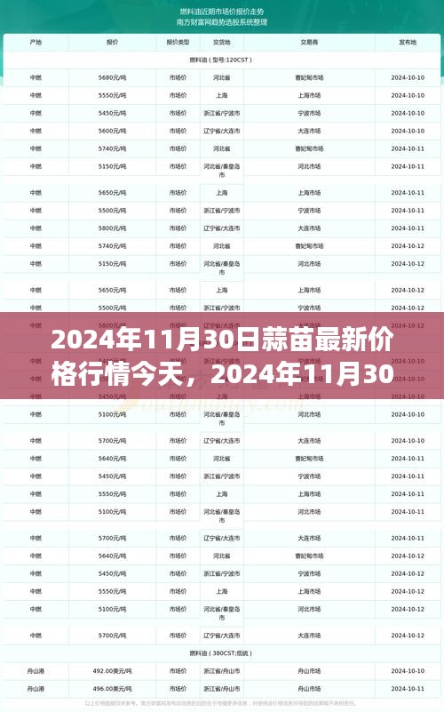 蒜苗最新價格行情與尋找內(nèi)心寧靜的自然美景之旅