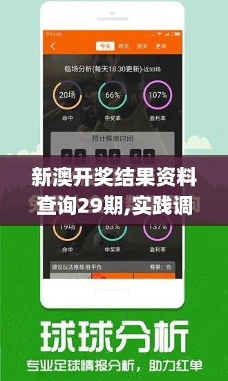 新澳開獎結(jié)果資料查詢29期,實(shí)踐調(diào)查說明_商務(wù)版AIK9.225