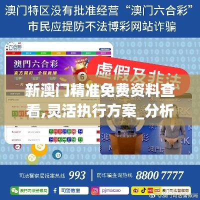 新澳門精準免費資料查看,靈活執(zhí)行方案_分析版LQN72.659