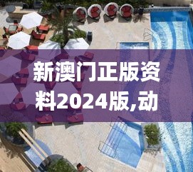 新澳門正版資料2024版,動態(tài)解讀分析_原汁原味版CRK13.224
