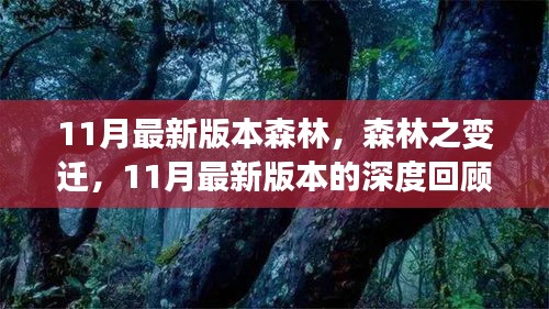 11月最新版本森林的變遷，深度回顧與影響