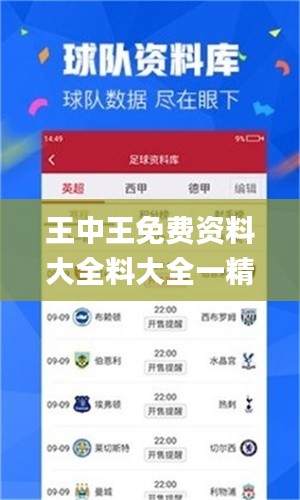 王中王免費資料大全料大全一精準(zhǔn),快速實施解答研究_VR版HNC74.409