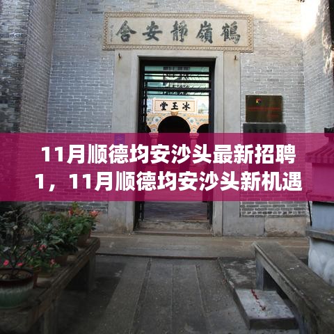 11月順德均安沙頭最新招聘啟航，職場新征程，學習變革與自信成長的機會