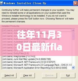 最新Flash Player下載體驗，功能升級，引領生活新潮流！