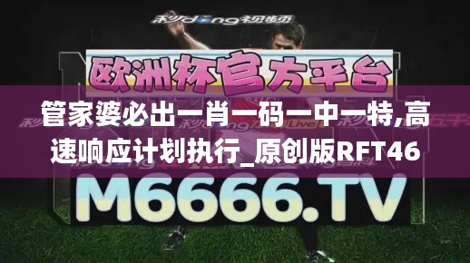 管家婆必出一肖一碼一中一特,高速響應(yīng)計劃執(zhí)行_原創(chuàng)版RFT46.562