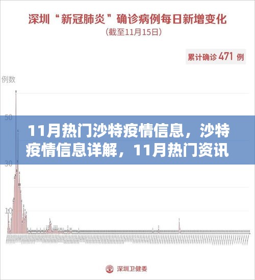 沙特疫情11月詳解，從入門到進階的全方位指南