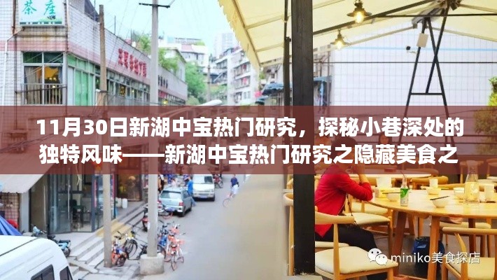 探秘新湖中寶隱藏美食，小巷深處的獨特風味之旅
