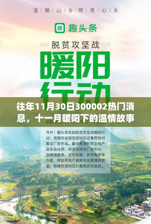 十一月暖陽(yáng)下的溫情故事，揭秘300002熱門消息的溫馨日常揭秘