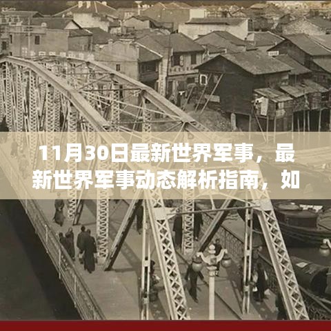 11月30日世界軍事最新動態(tài)解析，深入了解當(dāng)日軍事形勢指南