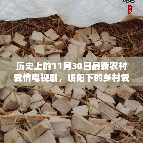 暖陽(yáng)下的鄉(xiāng)村愛情，十一月三十日的甜蜜日常